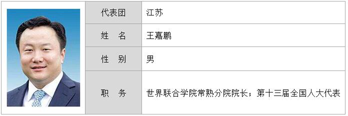王嘉鹏.jpg