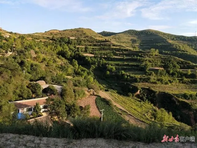 图为王满意老家的房子