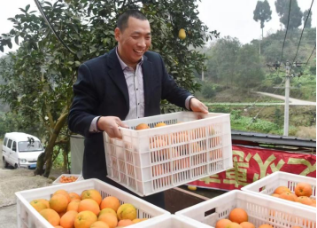 图为李进