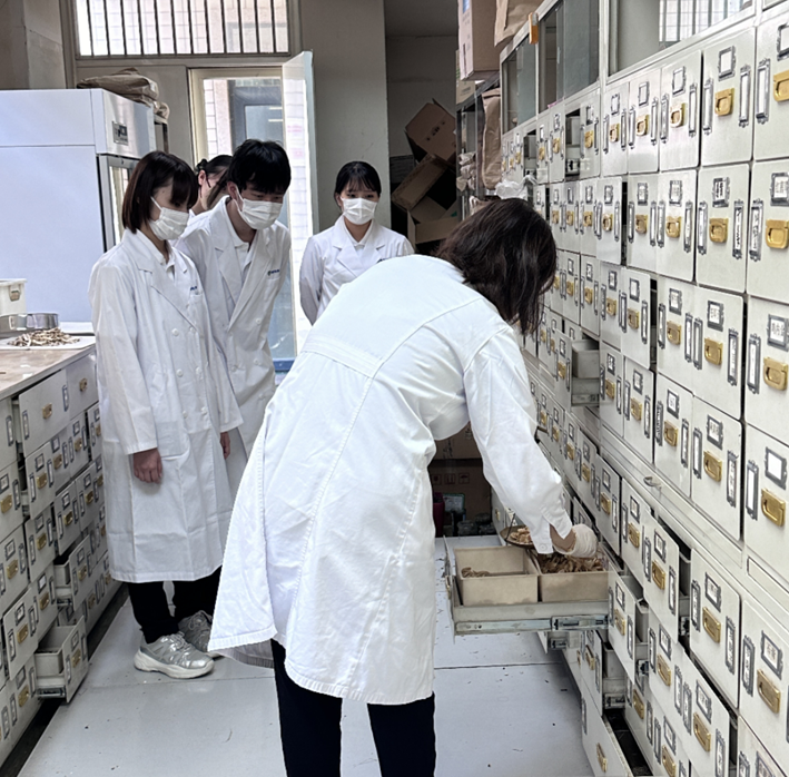 图为日本学生在中康药剂科临床实习
