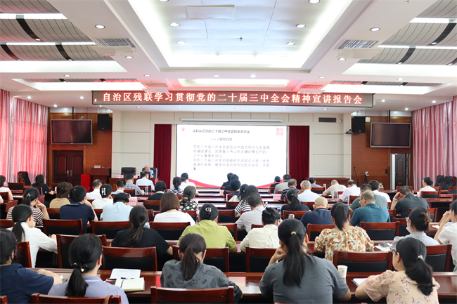 图为报告会现场