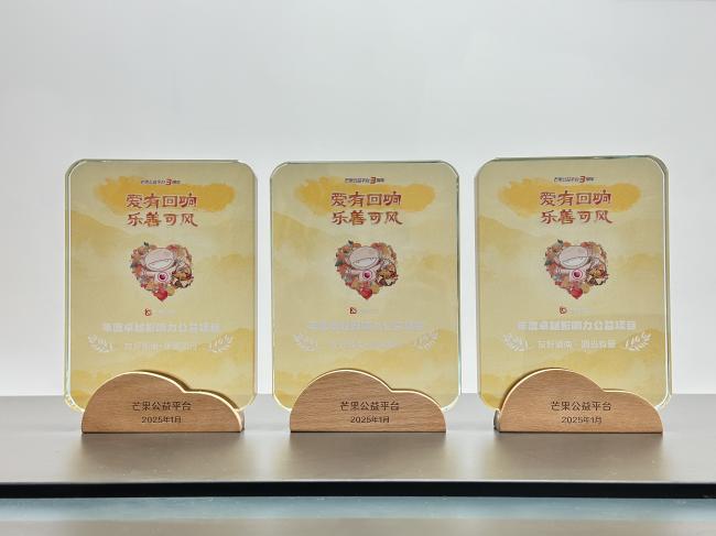 图为芒果公益奖牌