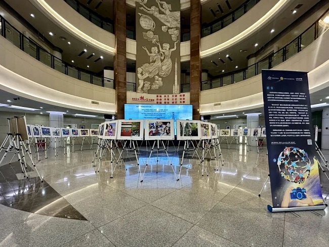 图为展览现场