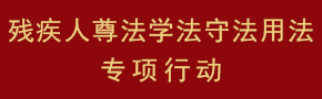 残疾人尊法学法守法用法专项行动 