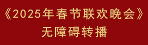 《2025年春节联欢晚会》无障碍转播 