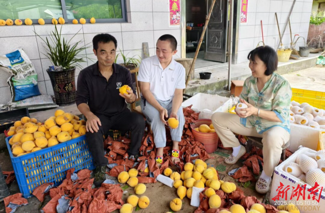 图为刘永智直播卖货
