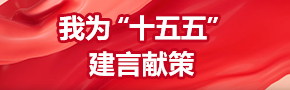 我为“十五五”建言献策 