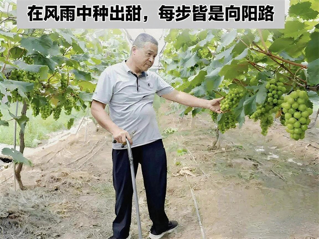 图为成泉