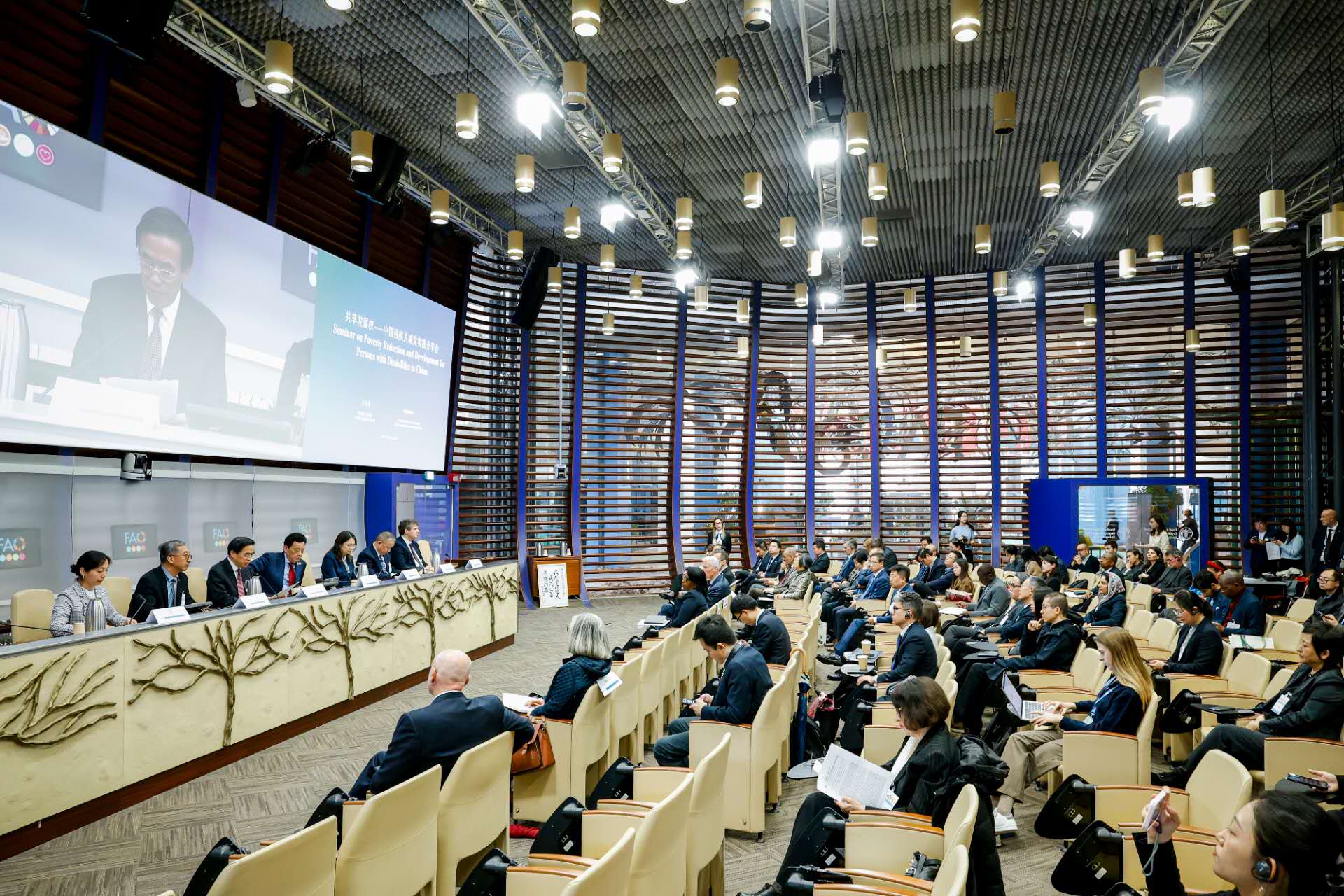 图为中国残疾人减贫实践分享会现场