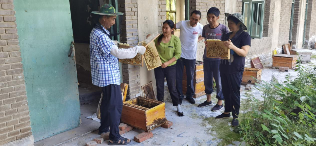 图为现场指导养蜂技术