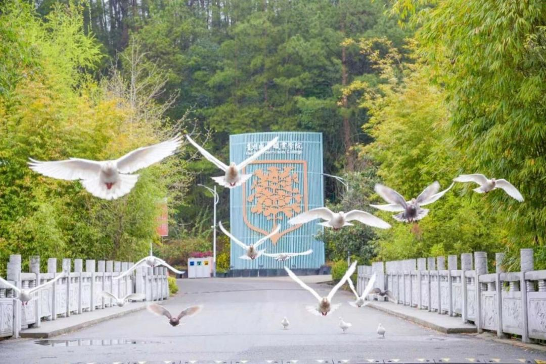 图为贵州盛华职业学院 图为贵州盛华职业学院