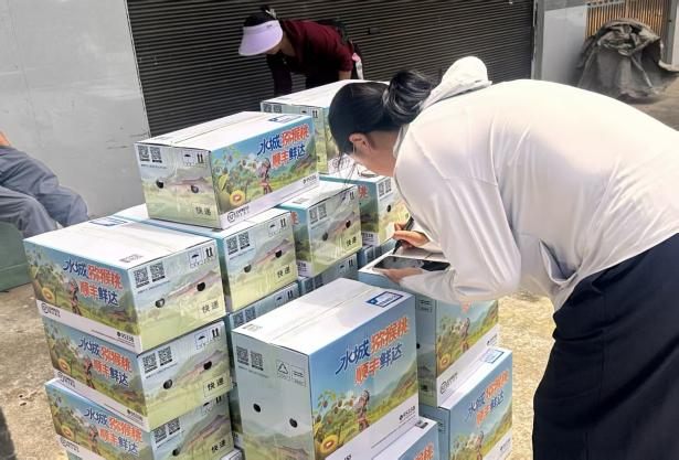 图为果子装箱现场 图为果子装箱现场