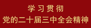 学习贯彻党的二十届三中全会精神